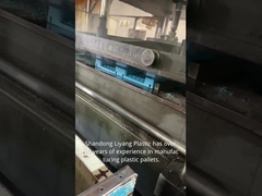 Shandong Liyang Plastic Moulding Co., Ltd.